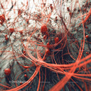 Intricate Abstract Design with Red Lines and Textures