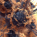 Intricate Fractal Structure in Golden and Gray Tones