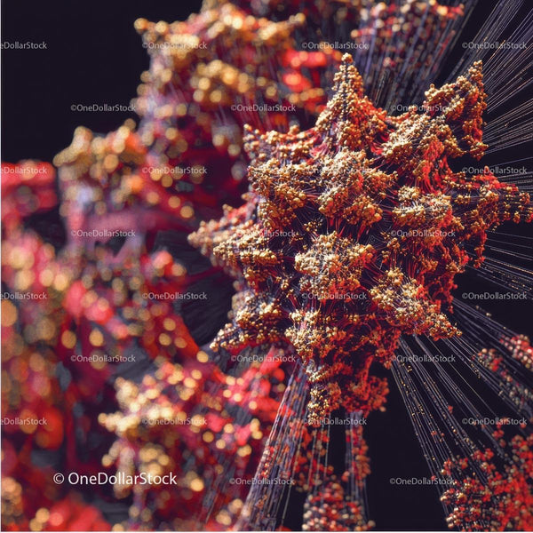 Detailed Microscopic View of a Coronavirus Structure