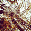Abstract Tangle of Intricate Fibers in Motion