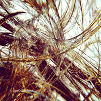 Abstract Tangle of Intricate Fibers in Motion