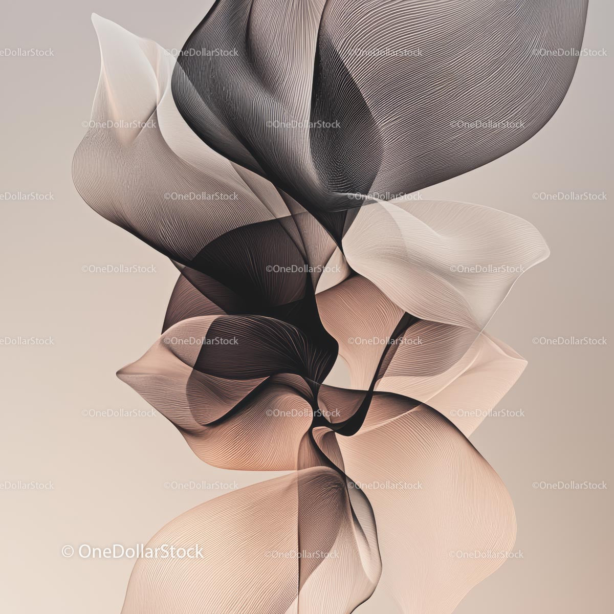 Elegant Abstract Flowing Lines in Beige and Black