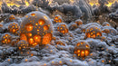 Glowing Fantasy Domes in a Snowy Landscape