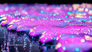 Vibrant Glittering Bokeh with Iridescent Sparkles