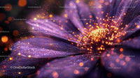 Close-Up of a Purple Flower with Sparkling Petals