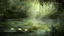 Misty Pond with Water Lilies in a Tranquil Forest