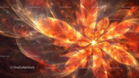 Radiant Fiery Flower in Abstract Digital Art