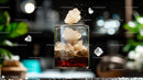 Fizzy Cola with Ice Splashing in Glass