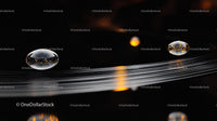Captivating Water Droplets on a Reflective Surface