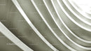 Curved Metallic Ribs in Modern Architectural Design