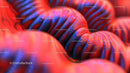 Vibrant Abstract Red and Blue Pattern