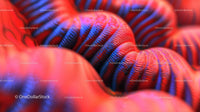 Vibrant Abstract Red and Blue Pattern