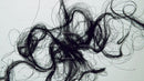 Intricate Black Lines on Light Background