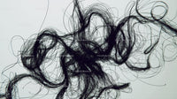 Intricate Black Lines on Light Background