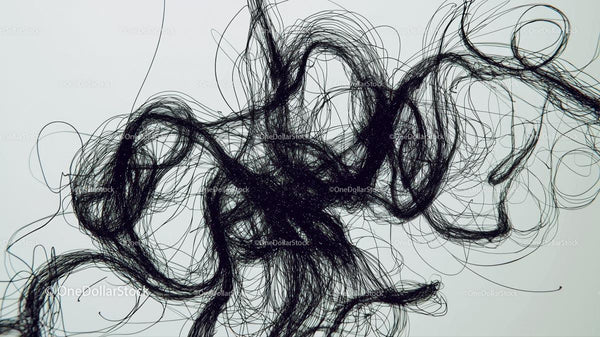 Intricate Black Lines on Light Background