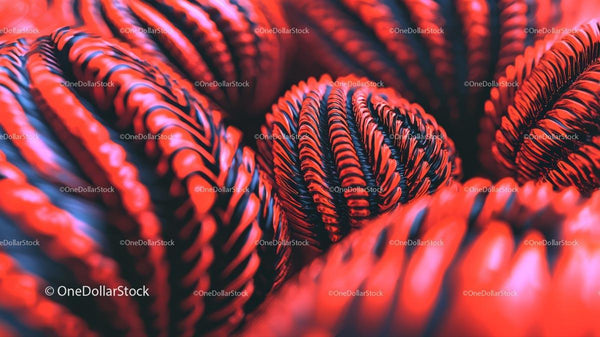 Vibrant Abstract Red Pattern with Intricate Design