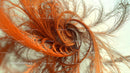 Intricate Swirling Fractal with Vibrant Orange Texture