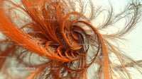 Intricate Swirling Fractal with Vibrant Orange Texture