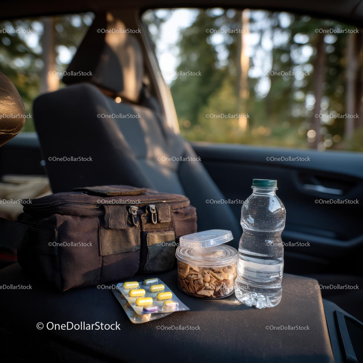 Travel Essentials with Snacks and First Aid Kit in Car