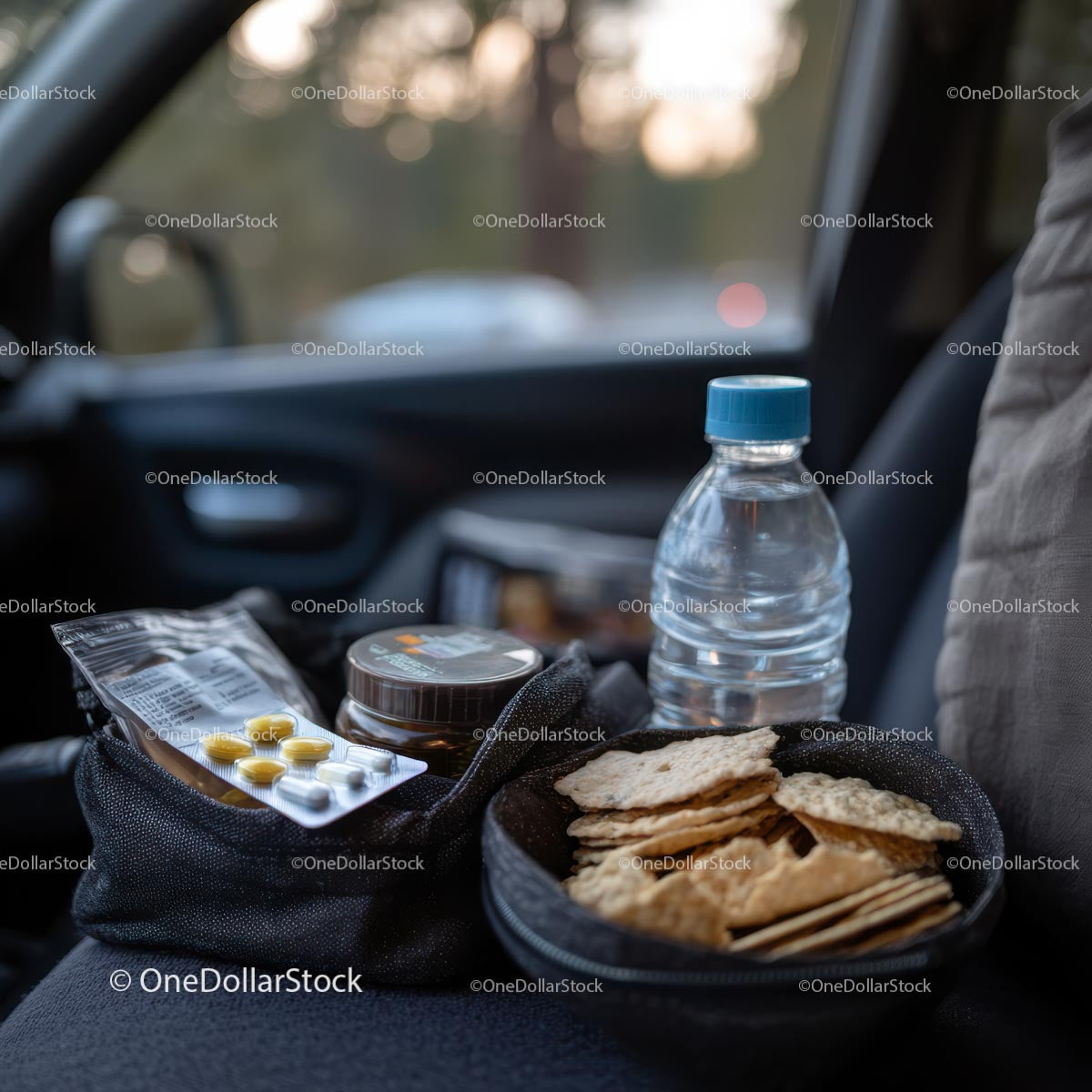 Car Trip Snacks and Essentials for On-the-Go Convenience