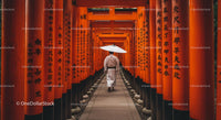 Traditional Pathway Through Vibrant Red Torii Gates in Kyoto