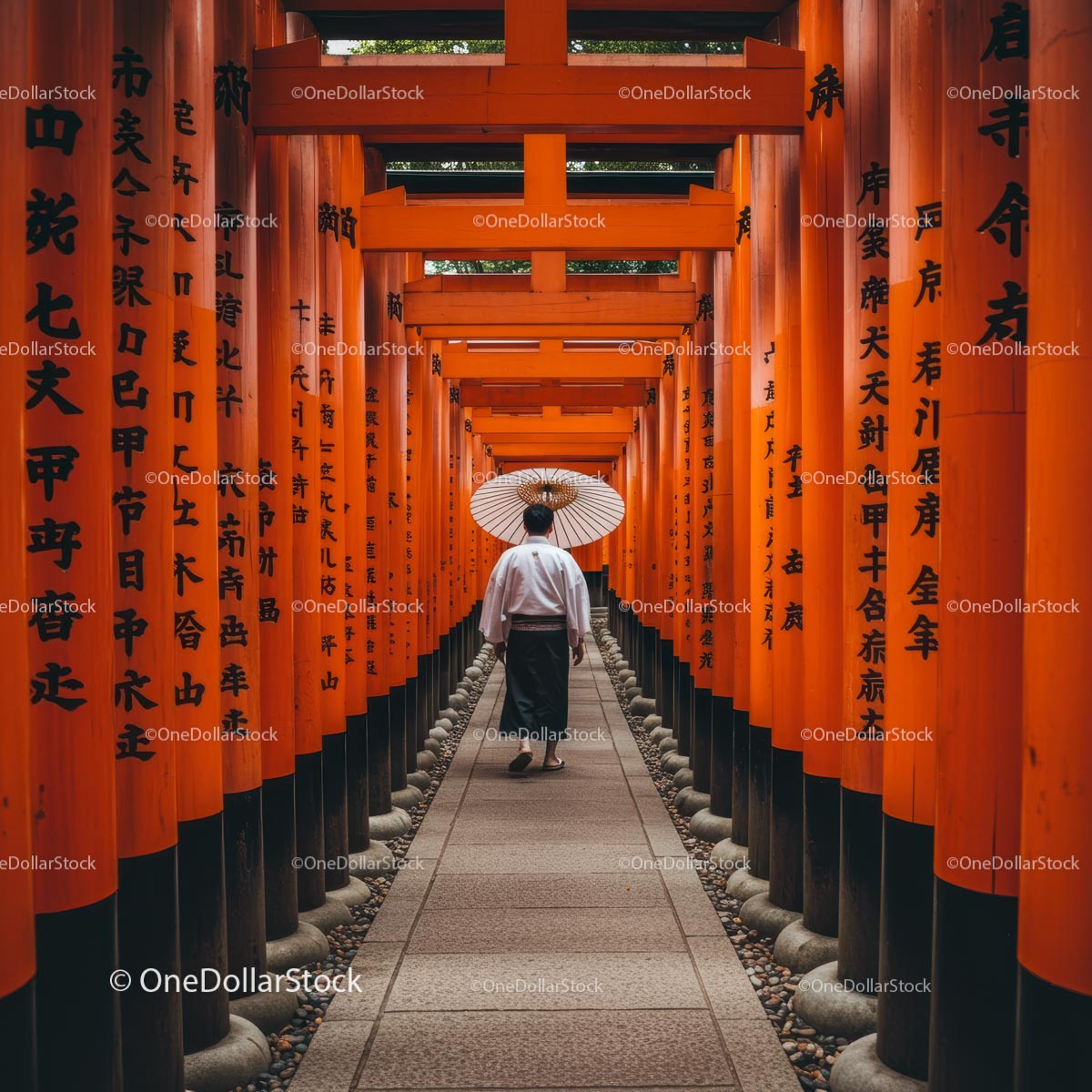 Traditional Walk Through Vibrant Torii Gates in Japan