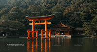 Torii Gate at Shinto Shrine with Forest Background