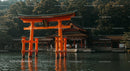 Vibrant Orange Torii Gate at Japanese Shinto Shrine