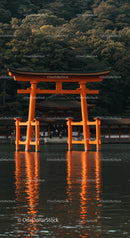 Majestic Orange Torii Gate Reflecting in Serene Waters