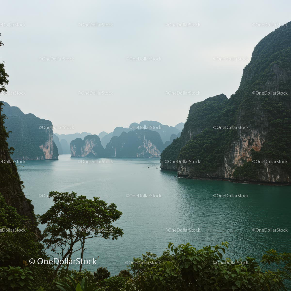 Breathtaking View of Halong Bay with Lush Greenery