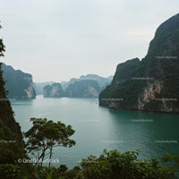 Breathtaking View of Halong Bay with Lush Greenery