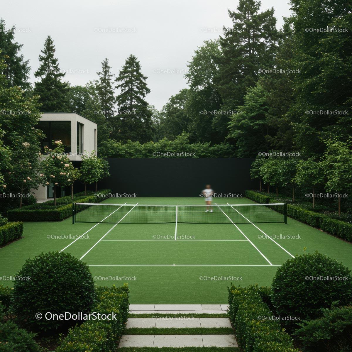 Modern Tennis Court Surrounded by Lush Greenery