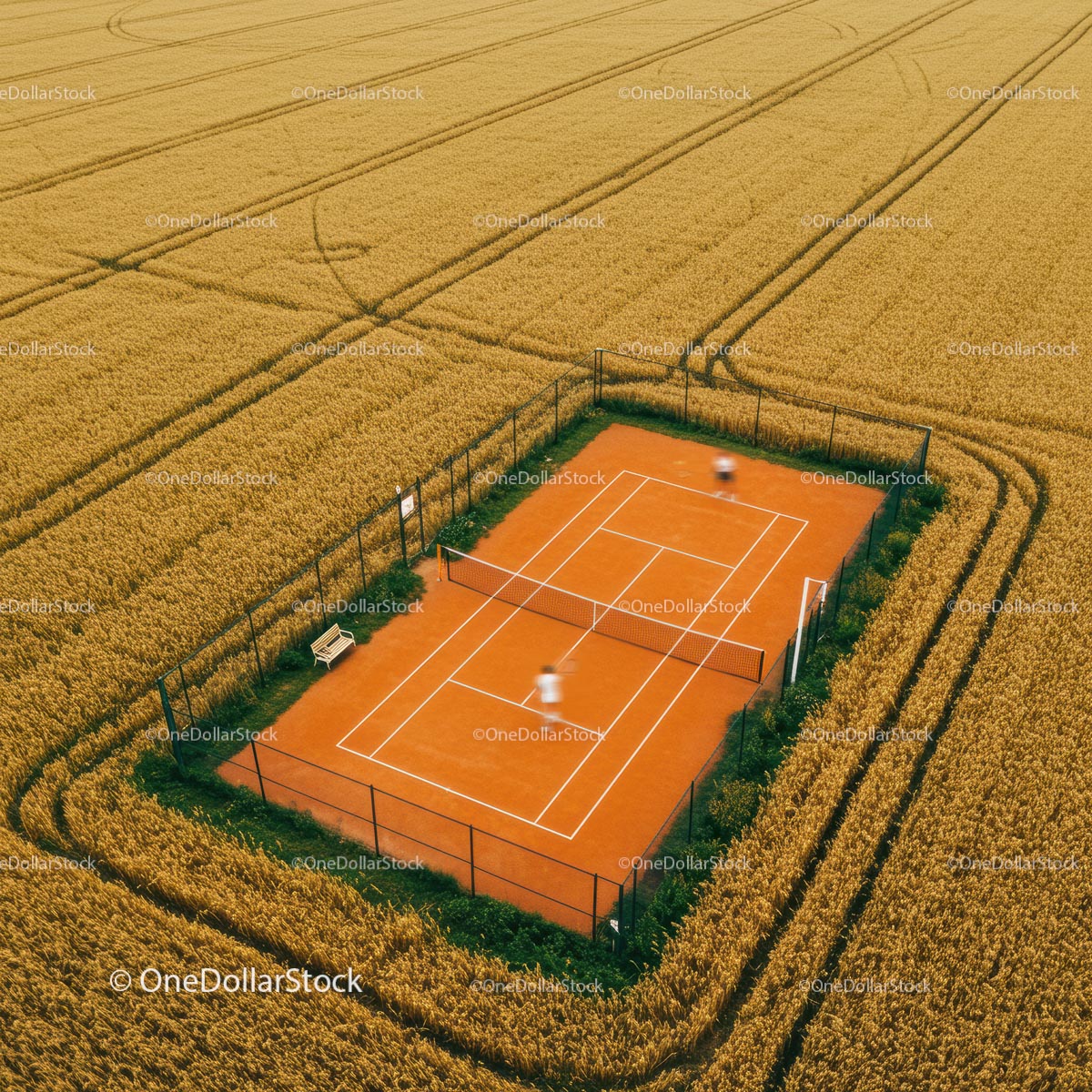 Aerial View of Tennis Court Surrounded by Golden Wheat Field