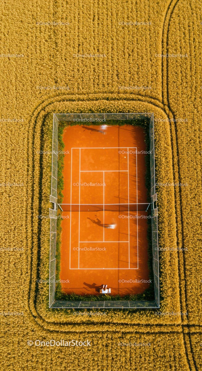 Solitary Tennis Player on Green Court with Lush Surroundings