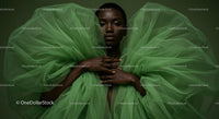 Elegant Fashion Portrait with Green Tulle