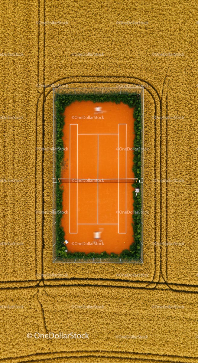 Solitary Tennis Player on Green Court with Lush Surroundings
