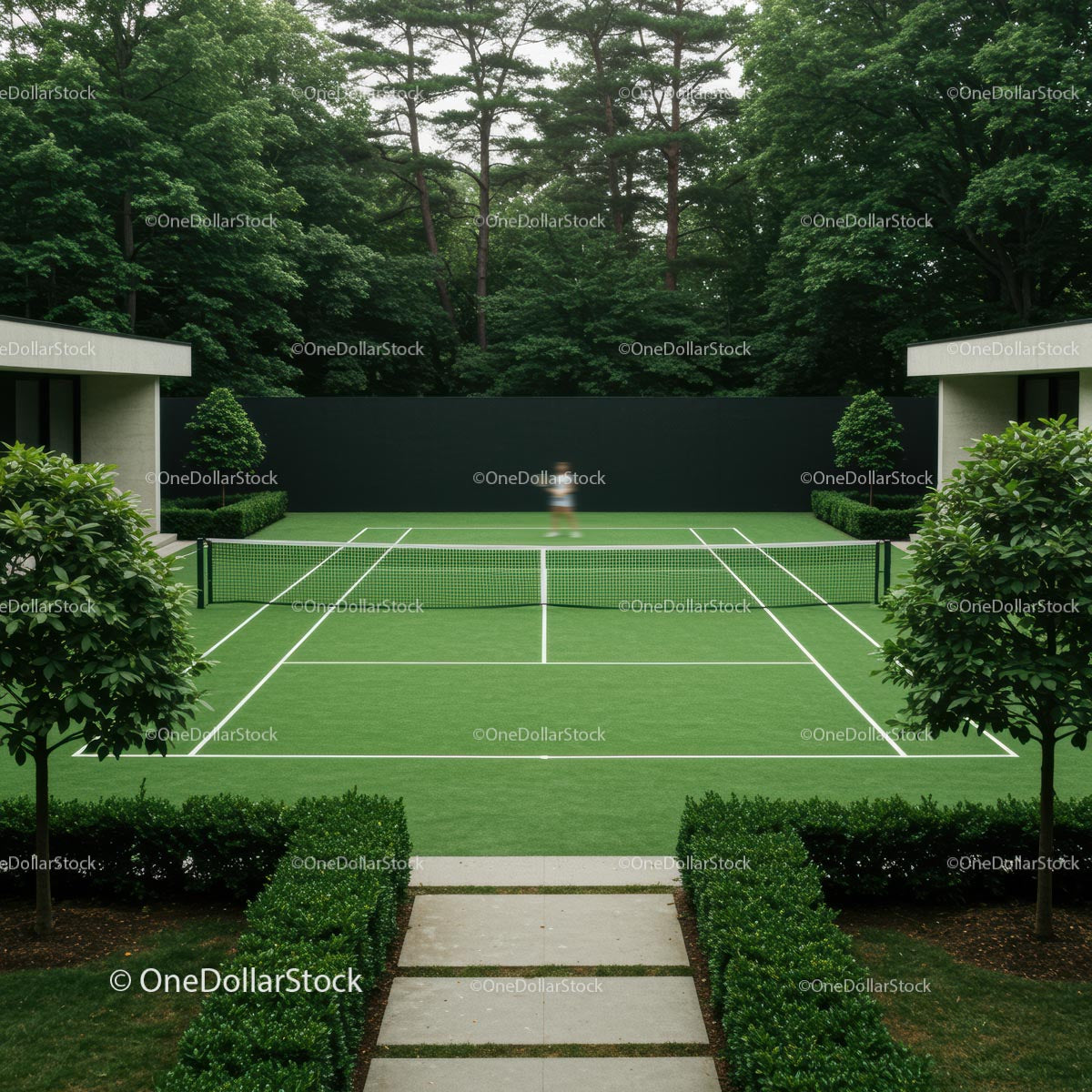 Secluded Tennis Court Surrounded by Lush Greenery