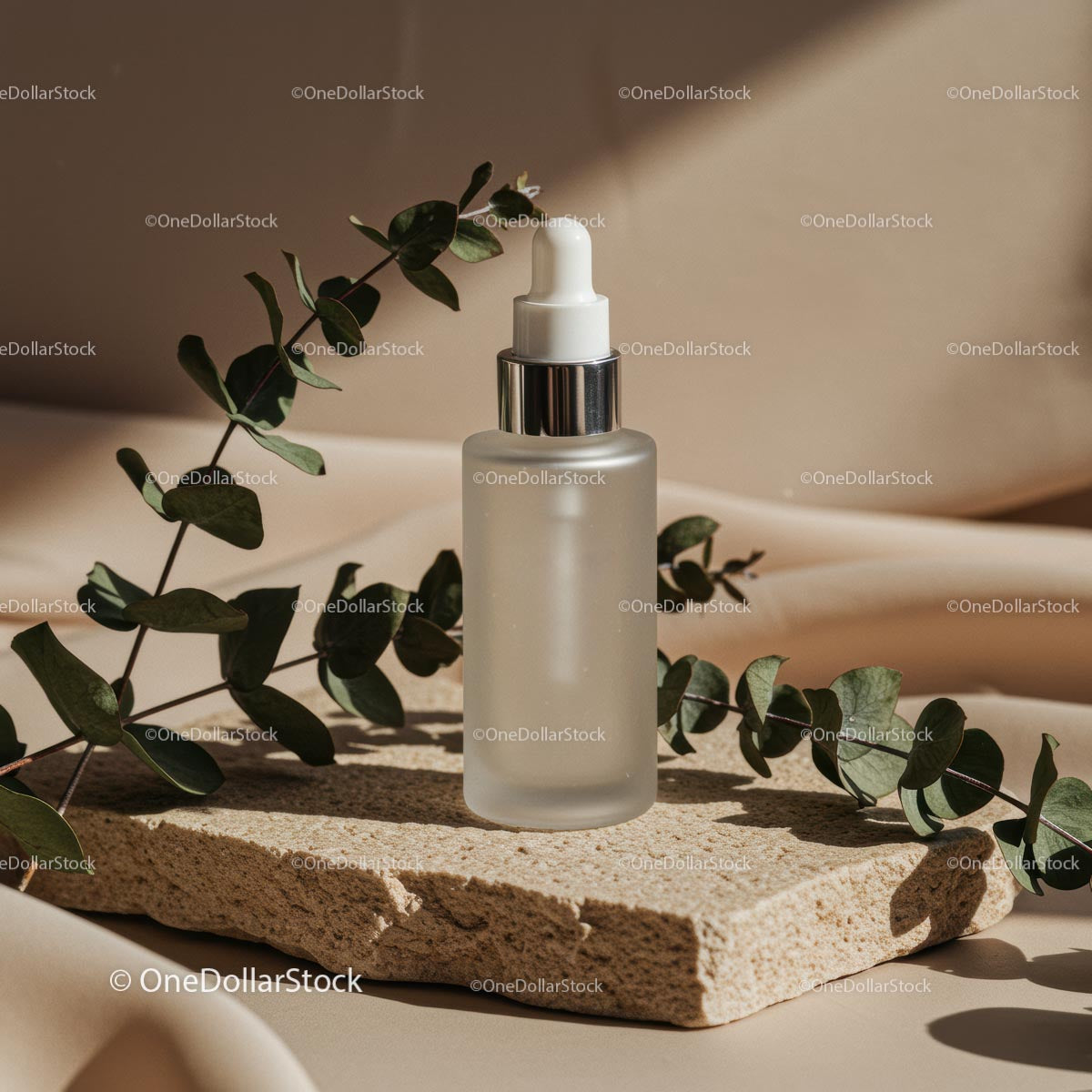 Minimalist Skincare Bottle with Eucalyptus on Stone