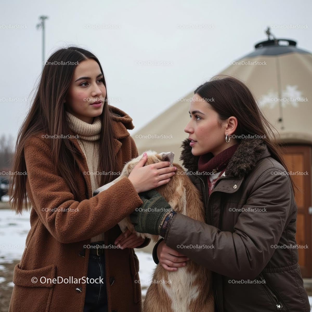 Two Friends Enjoying Winter Day with a Dog