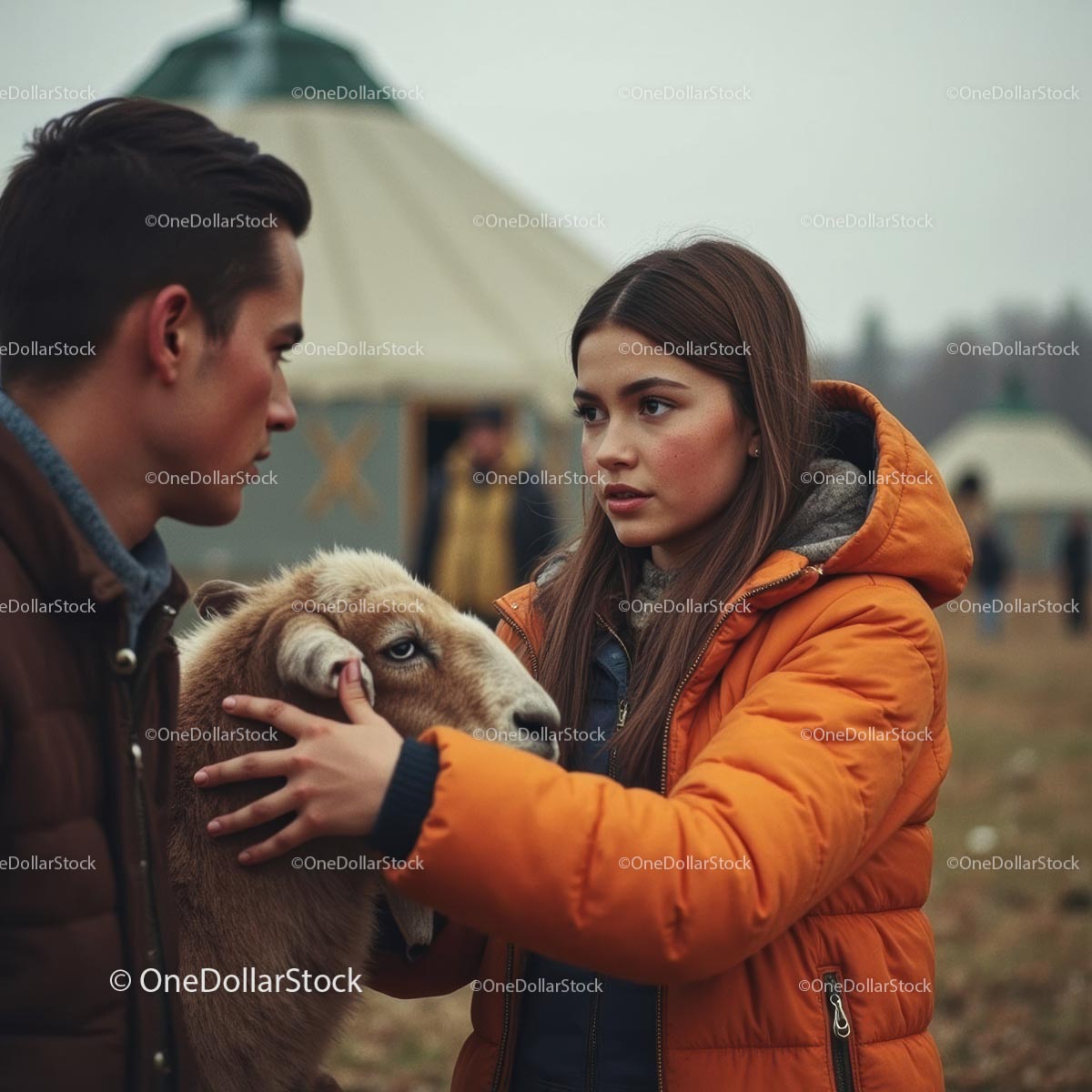 Young Couple Interacting with Sheep in Autumn Setting