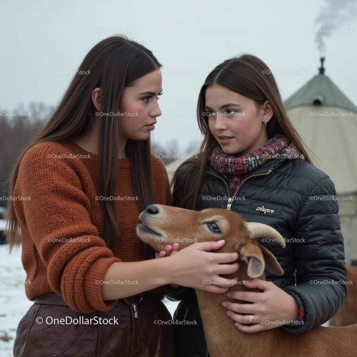 Two Women Bonding with Brown Goat in Winter Setting