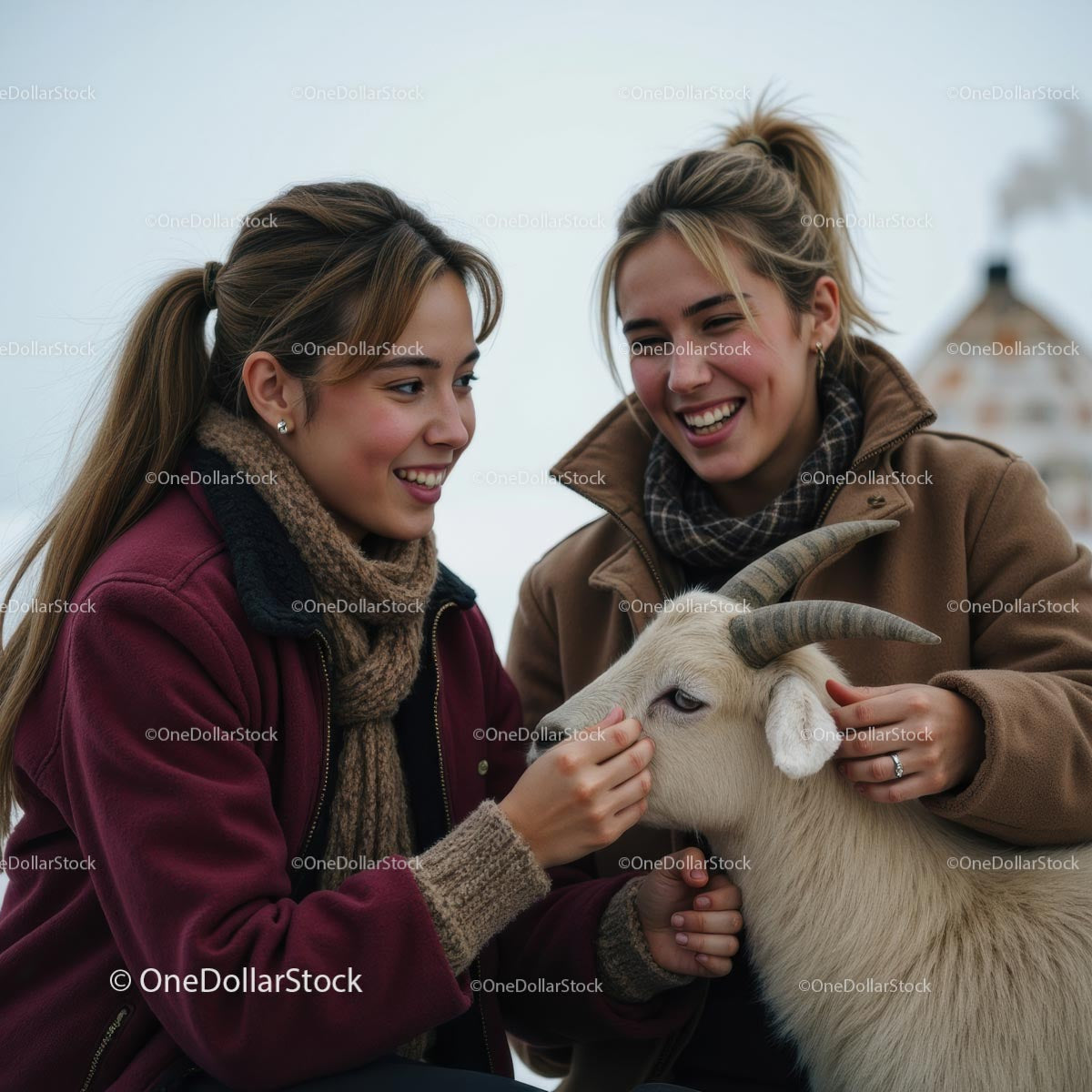 Two Friends Enjoying Time with a Friendly Goat Outdoors