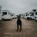 Doberman Guarding Motorhomes at Campsite