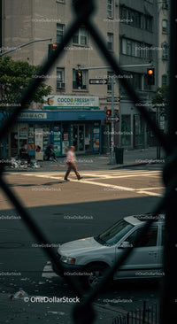 Urban Street Scene with Pedestrian Crossing