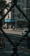 Urban City Street with Crosswalk and Traffic Lights