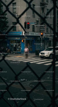 Traffic Light and Pedestrian in an Urban Downtown Setting