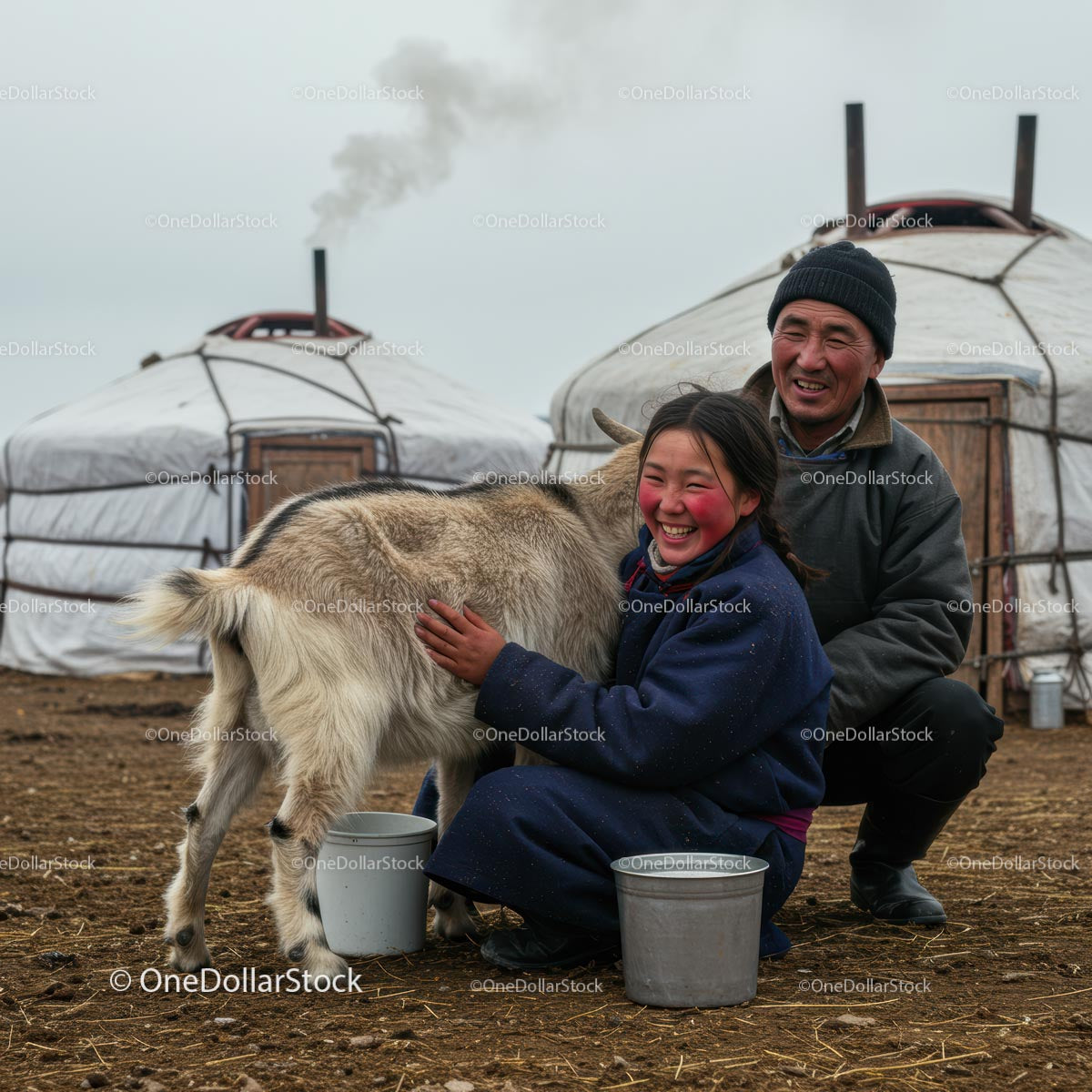 Mongolian Family with Goat in Traditional Nomadic Setting