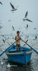 Young Boy Navigating a Boat Among Seagulls