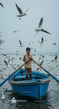 Young Boy Navigating a Boat Among Seagulls
