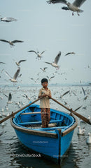 Boy in Blue Boat Surrounded by Flying Seagulls